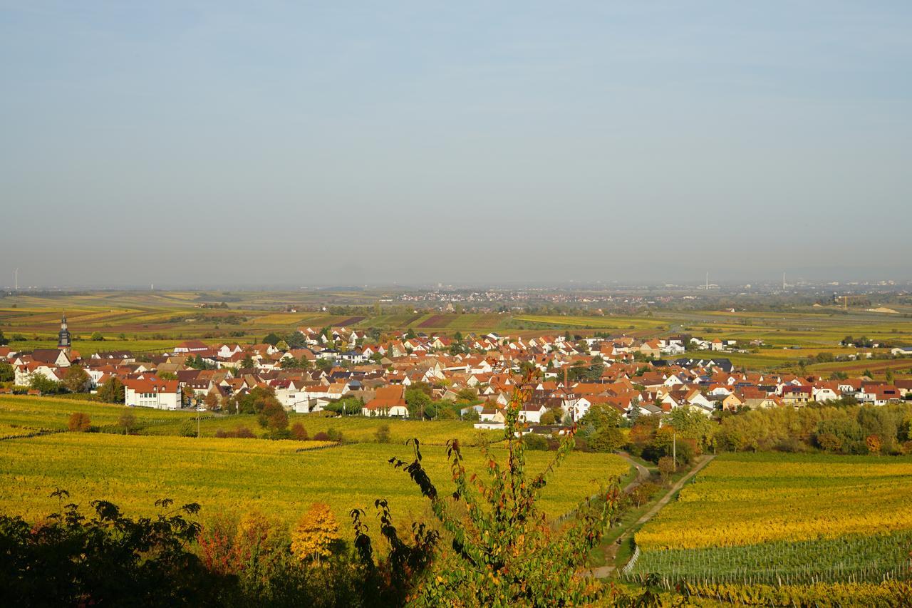 Ferienwohnung Knittel Kallstadt Exterior foto